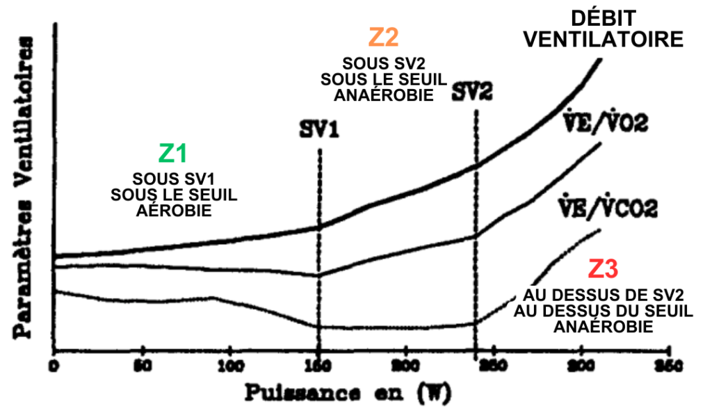 Seuils lactiques et ventilatoires : les comprendre, les mesurer, les